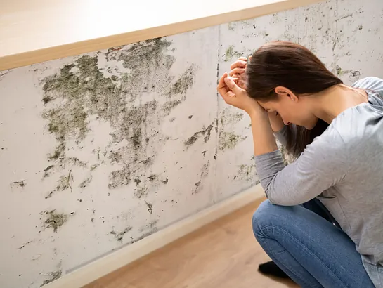 Mould Cleaning Illustration Woman